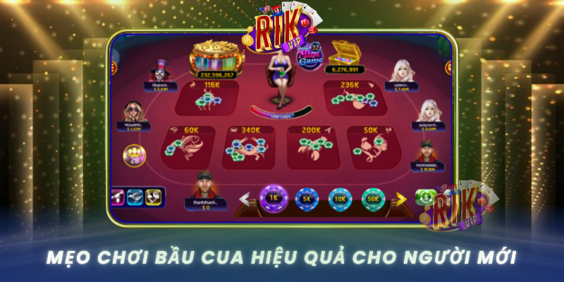 Meo Choi Bau Cua Hieu Qua Cho Nguoi Moi